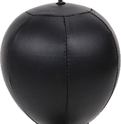 Home & Gym Boxing Training Equipment
